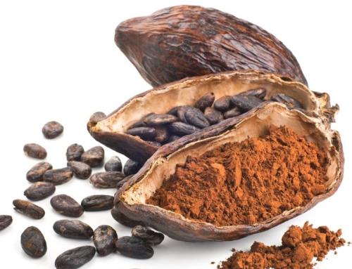Kakao und sein Weg nach Europa
